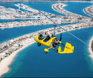 Bildschirmfoto 2024 01 26 um 09.13.08 12f91ace AutoGyro