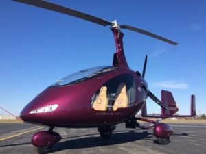 Sales Information 12 Beere Pearl Metallic Audi