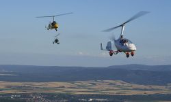 calidus29 0c9aeb6e AutoGyro